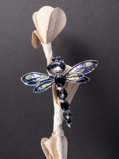

Golden Peacock Silver-Toned & Grey Stone-Studded Dragonfly-Shaped Brooch