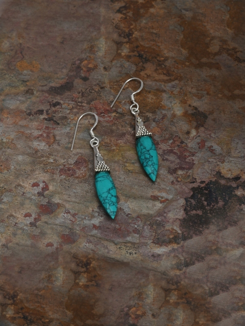 

Silverholic Women Turquoise Blue Teardrop Shaped Drop Silver Earrings