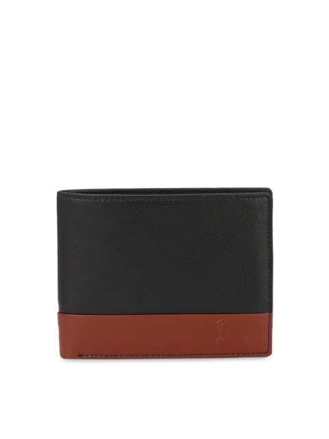 

Pacific Gold Men Black Colourblocked Two Fold Leather Wallet