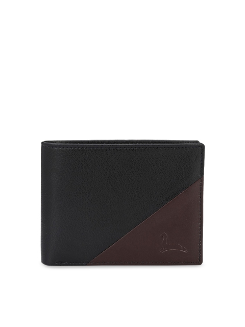 

Pacific Gold Men Black Colourblocked Two Fold Leather Wallet