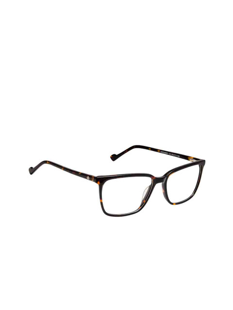 

David Blake Unisex Brown Solid Full Rim Wayfarer Frames EWDB2032MK8801C2