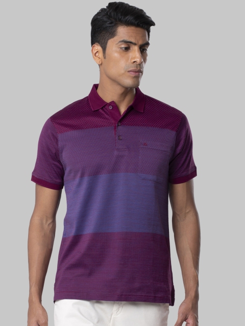 

Raymond Men Purple Colourblocked Polo Collar T-shirt