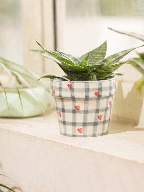 

The Wishing Chair Multicoloured Printed Table Planter, Multi