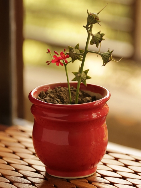 

ExclusiveLane Red Ceramic Planter Pot
