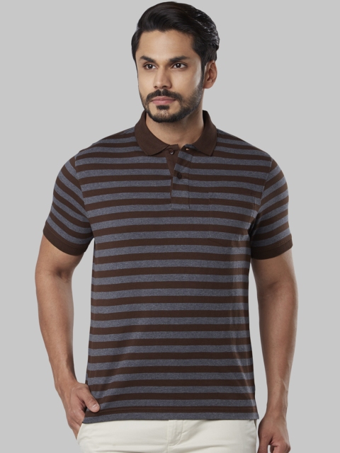 

Next Look Men Brown & Grey Striped Polo Collar T-shirt