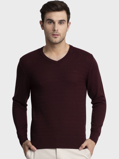 

ColorPlus Men Maroon Striped Sweater