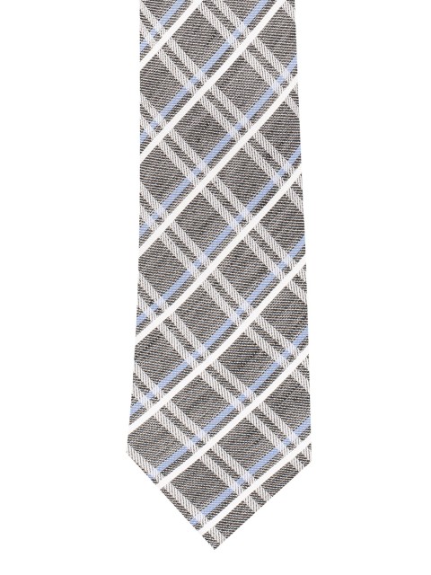 

The Tie Hub Men Grey & Blue Checked Broad Tie