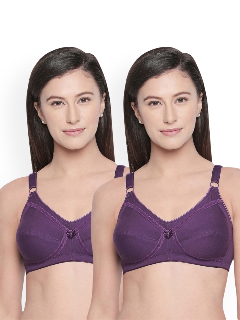 

Bodycare Pack of 2 Solid Non-Wired Non Padded Everyday Bra E5584DPUDPU, Purple