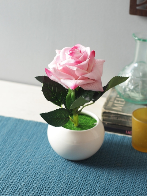 

Fourwalls Pink & Green Artificial Velvet Rose in a Ceramic Vase