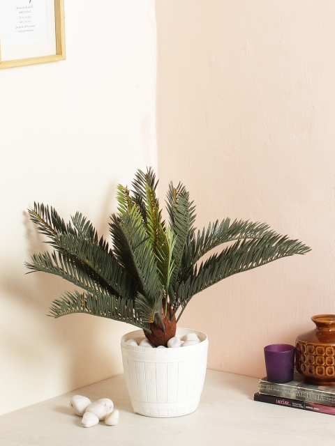 

Fourwalls Green Artificial Natural Cycus Plant Without Pot