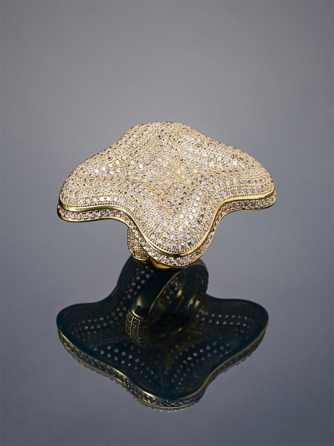 

shaze Women Gold-Plated CZ-Studded Finger Ring
