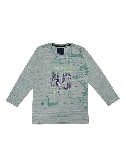 

Lil Tomatoes Boys Grey & Green Printed Sweatshirt