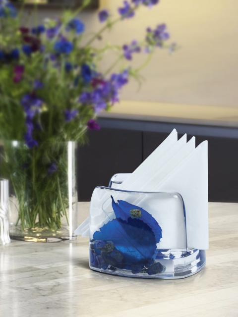 

OBSESSIONS Transparent & Blue Set