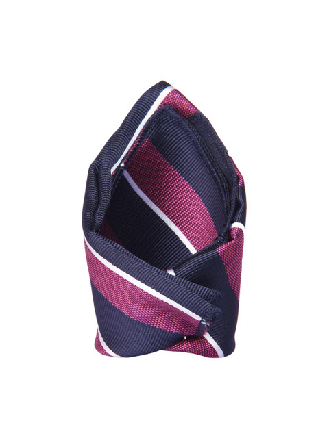 

Tossido Men Blue & Pink Striped Pocket Square