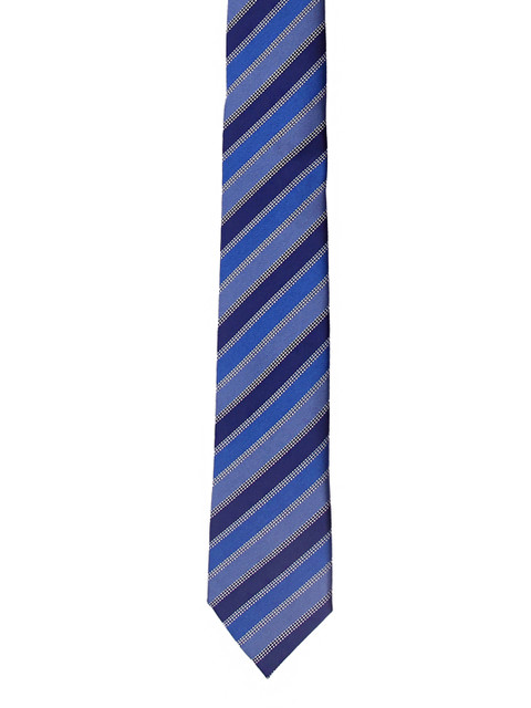 

Tossido Men Blue Striped Skinny Tie