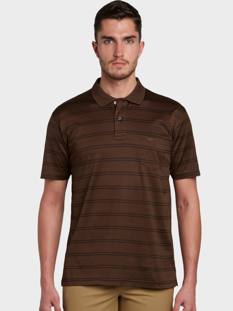 

ColorPlus Men Brown Striped Polo Collar T-shirt