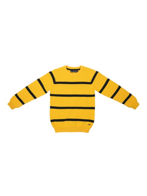 

Allen Solly Junior Boys Yellow & Black Striped Sweater