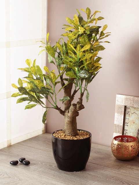 

TAMIRHA Green & Black Artificial Croton Bonsai Plant With Pot