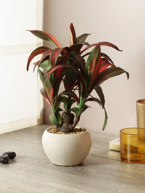

TAMIRHA Green & Red Artificial Bonsai Dracaena Plant With Pot