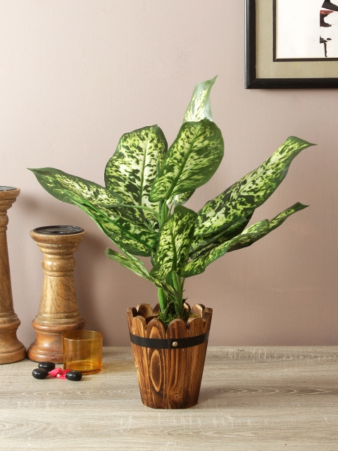TAMIRHA Green Artificial Dieffenbachia Plant