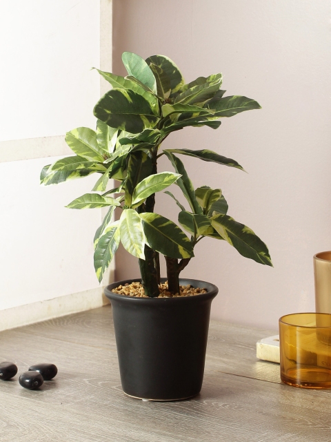 

TAMIRHA Green Artificial Bonsai Plant With Pot
