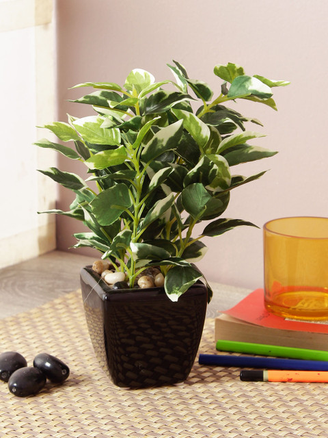 

TAMIRHA Green Artificial Bonsai Plant With Pot