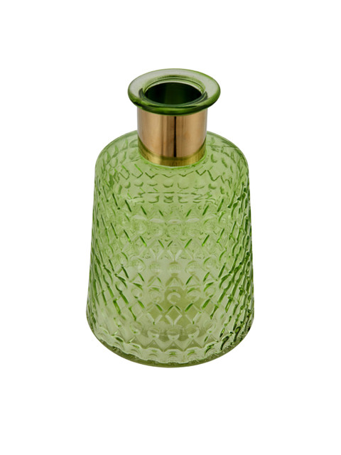 

Living Essence Green Marvela Colored Glass Flower Vase With Gold Rim Lime