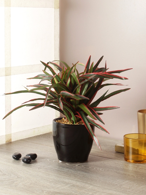 

TAMIRHA Green & Red Artificial Yucca Bonsai Plant With Pot