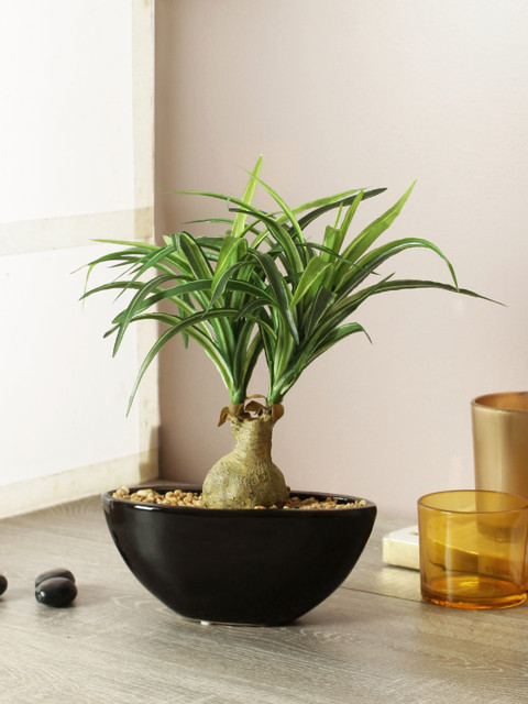 

TAMIRHA Green Artificial Yucca Bonsai Plant With Pot