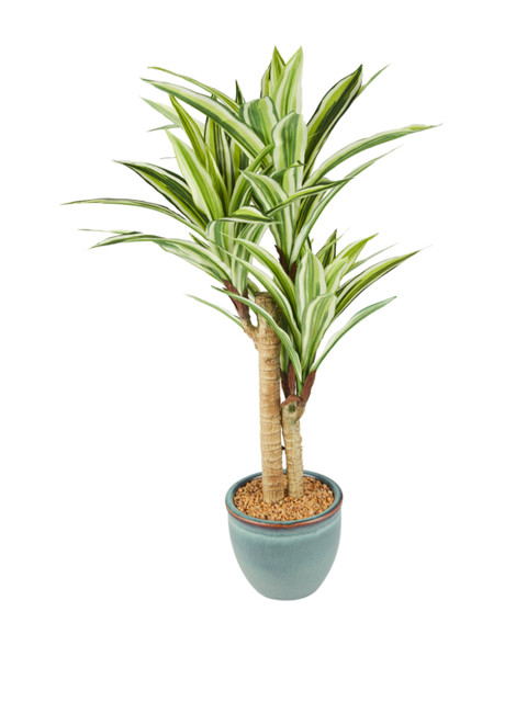 

Living Essence Green Artificial Plant With Pot