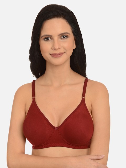 

mod & shy Maroon Solid Non-Wired Non Padded Everyday Bra