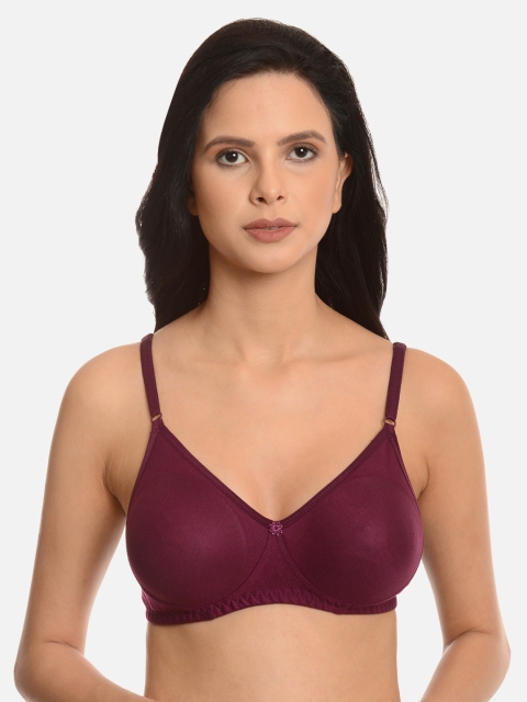 

mod & shy Burgundy Solid Non-Wired Non Padded Everyday Bra MS87