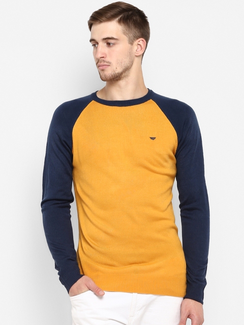 

Red Tape Men Yellow & Navy Blue Solid Sweater