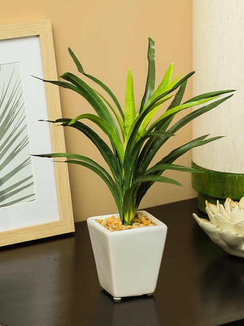 

PolliNation Green Set of 2 Artificial Yucca Bonsai With Ceramic Pot