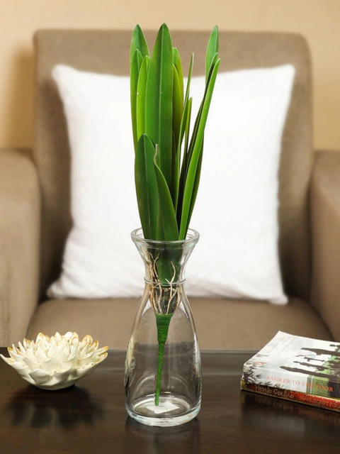

PolliNation Green Real Touch Dracaena Plant