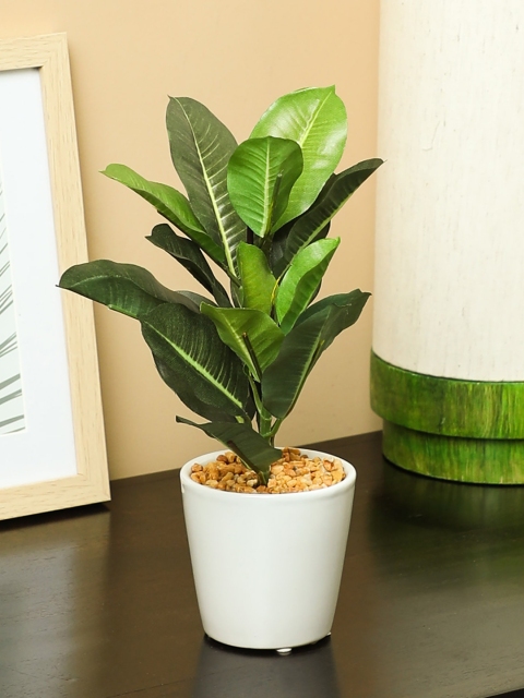 

PolliNation Green Artificial Quercus Bonsai With Pot