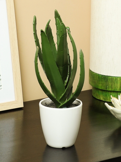 

PolliNation Green Artificial Bonsai Plant With Pot
