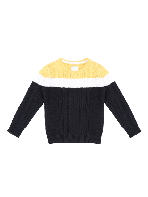 

Pantaloons Junior Boys Yellow and Black Cable Knit Sweater