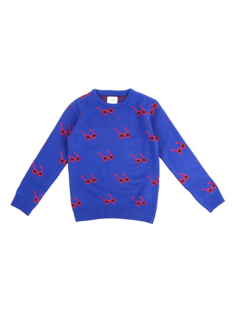 

Pantaloons Junior Boys Blue and Red Printed Sweater
