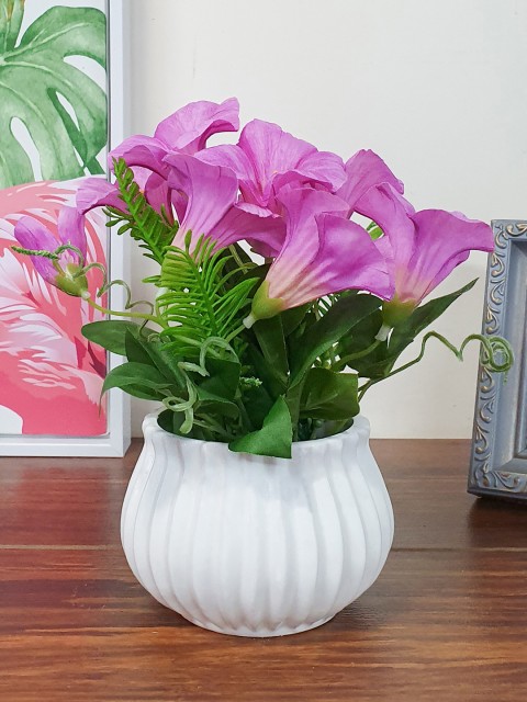 

Art Street Unisex White Artificial Flowers and Plants