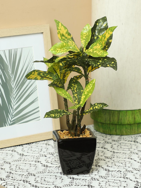 

PolliNation Yellow Green Artificial Croton Bonsai With Ceramic Pot