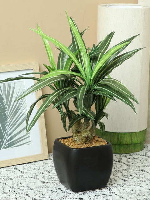 

PolliNation White Green Artificial Yucca Bonsai With Ceramic Pot
