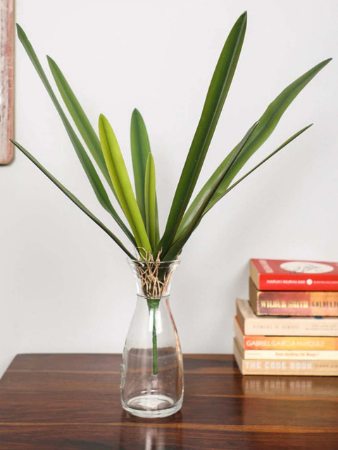 

PolliNation Green Real Touch Dracaena Plant