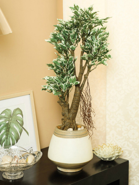 

PolliNation White Green Artificial Ficus Plant