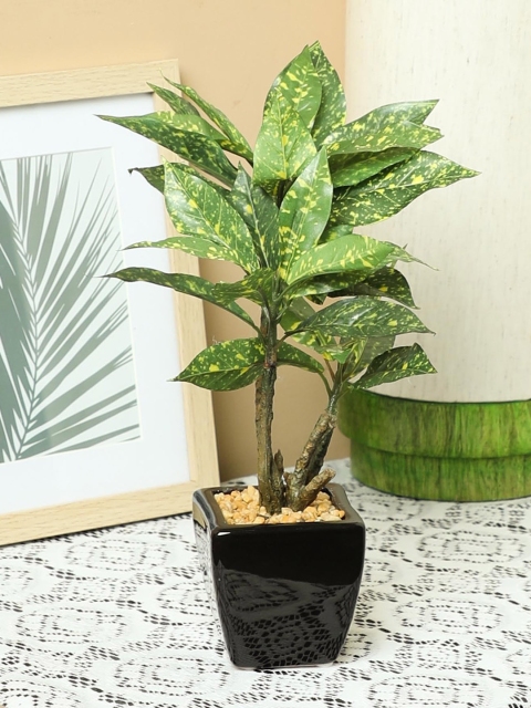 

PolliNation Yellow Green Artificial Croton Bonsai With Ceramic Pot