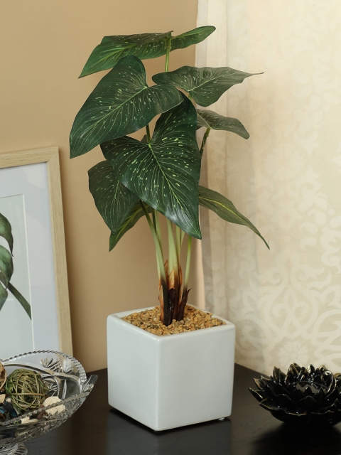 PolliNation Green Dotted Artificial Monstera Bonsai With Ceramic Pot