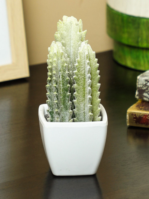

PolliNation Green Set of 2 Artificial Cactus Bonsai With Pot