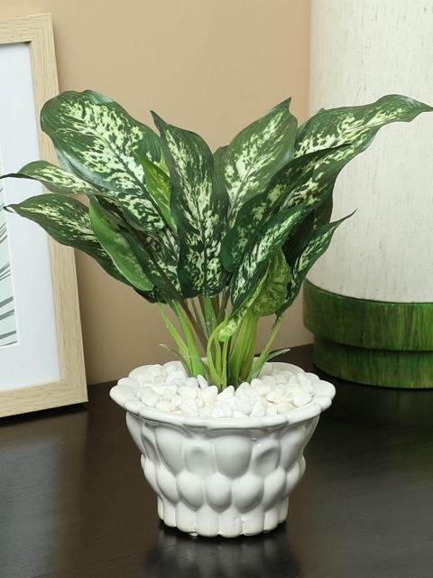 

PolliNation Green Artificial Dieffenbachia Bonsai Plant With Pot