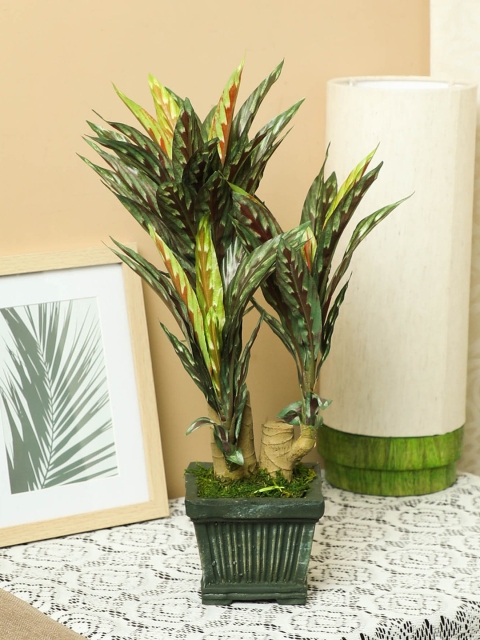 

PolliNation Brown Green Artificial Dracaena Bonsai With Fiber Pot