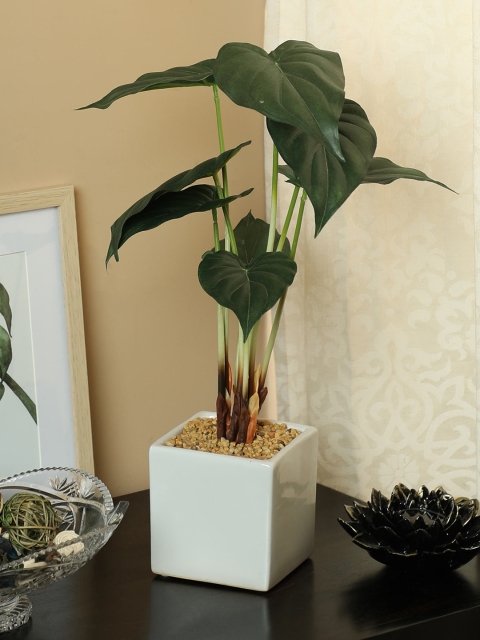 

PolliNation Green Artificial Monstera Bonsai With Ceramic Pot